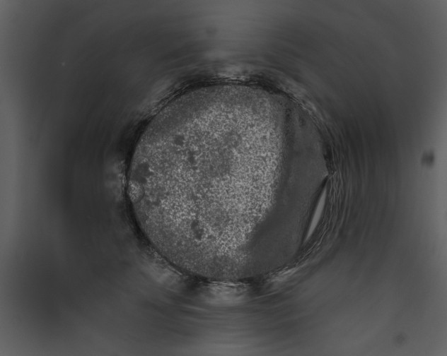 X0000089910707200707131349