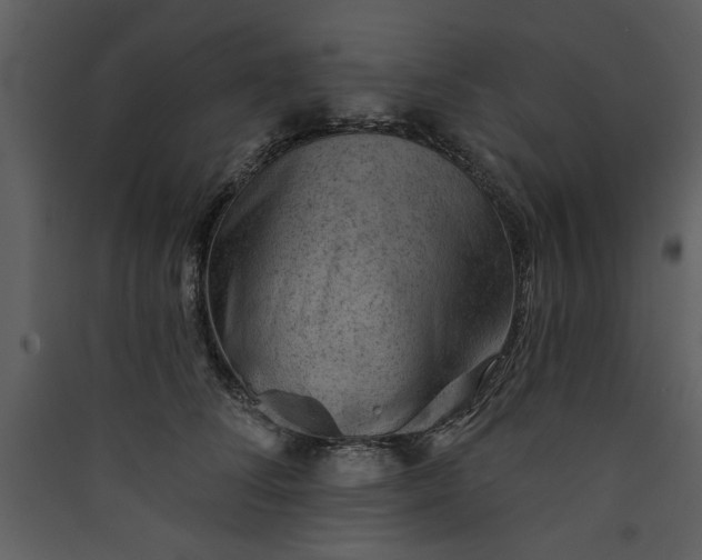 X0000089910708200707131349
