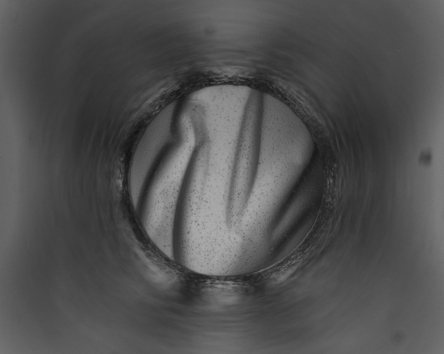 X0000089910710200707131349