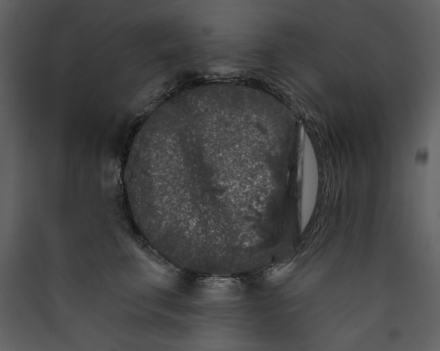 X0000089910711200707131349