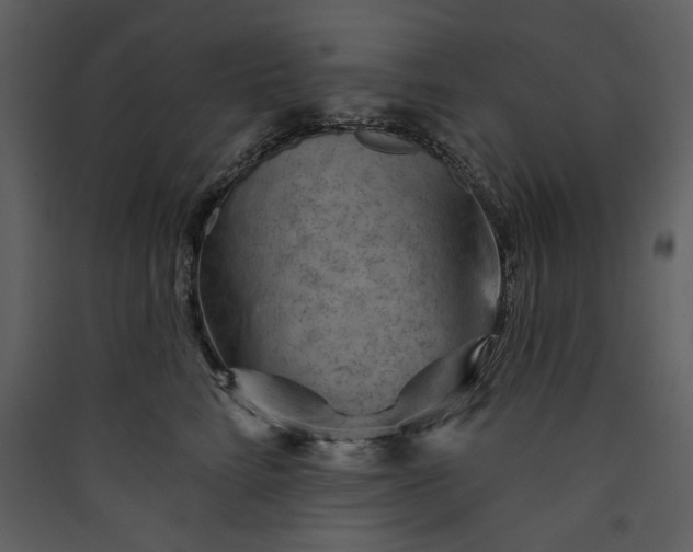 X0000089910712200707131349