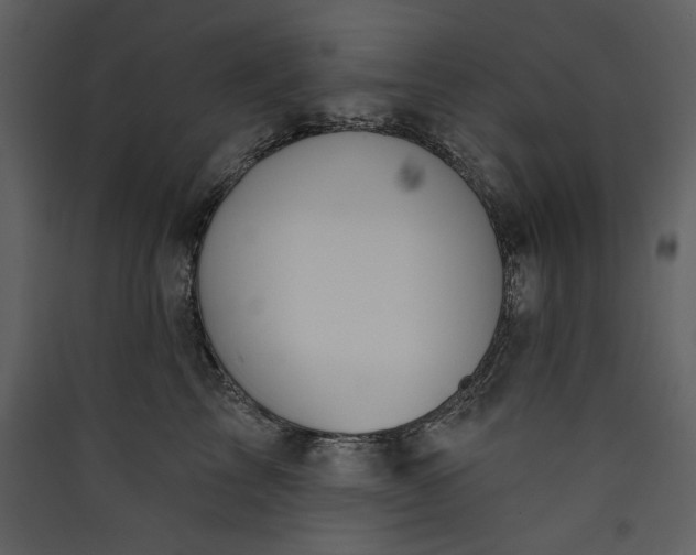 X0000089910713200707131349