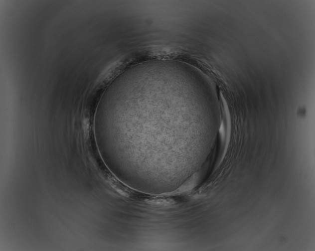 X0000089910716200707131349