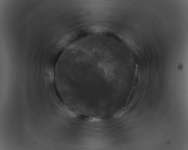 X0000089910718200707131349