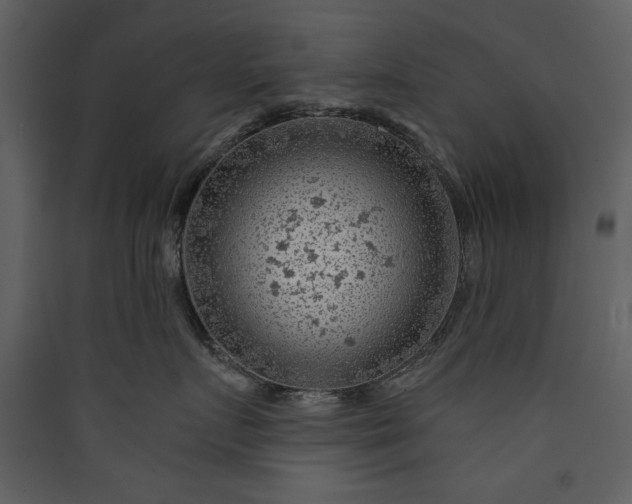 X0000089910719200707131349