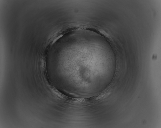 X0000089910720200707131349