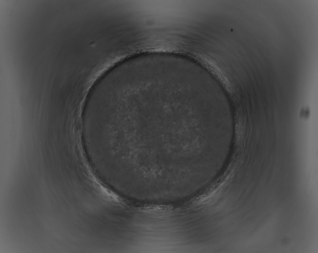 X0000089910721200707131348