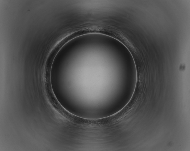 X0000089910722200707131348