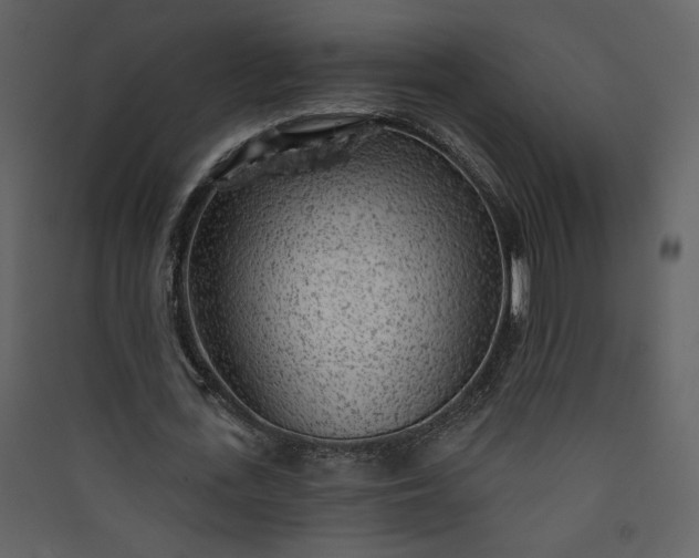 X0000089910723200707131348