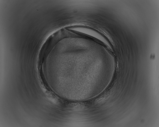 X0000089910724200707131348