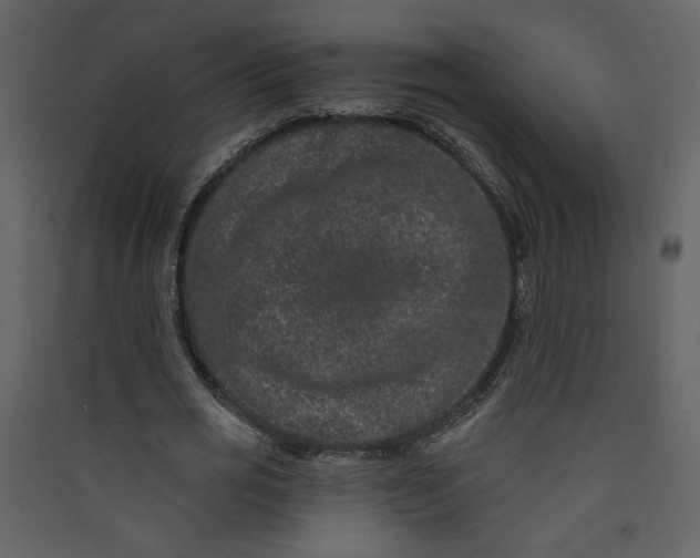 X0000089910725200707131348