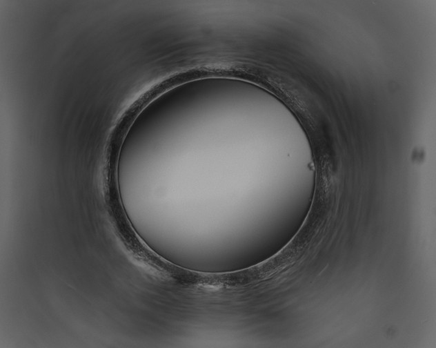 X0000089910728200707131348