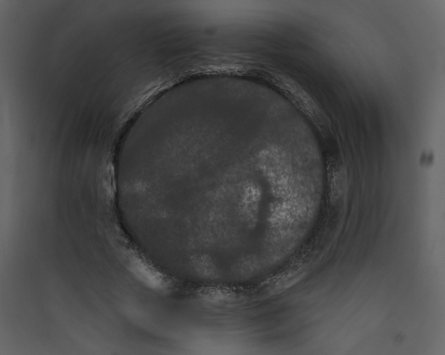 X0000089910729200707131348