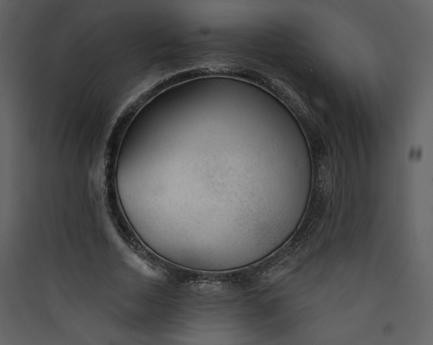 X0000089910730200707131348