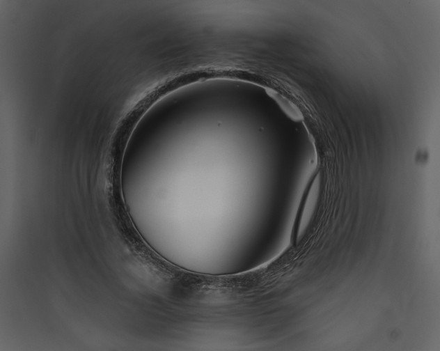 X0000089910732200707131349