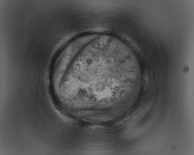 X0000089910734200707131349