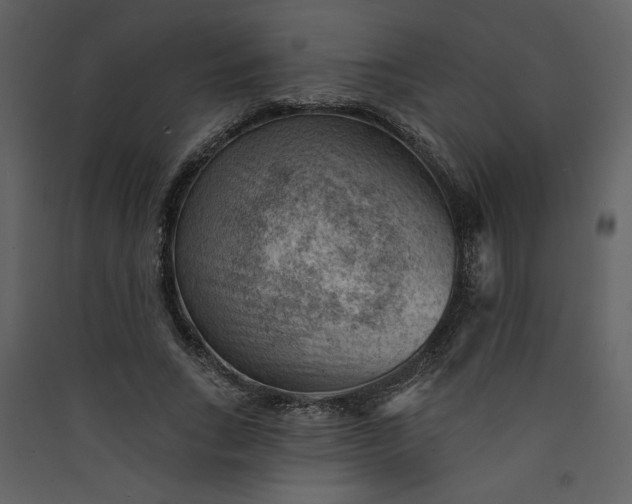 X0000089910735200707131349