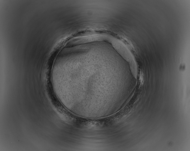 X0000089910736200707131349