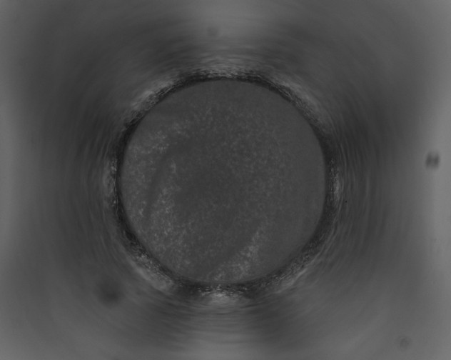 X0000089910737200707131349