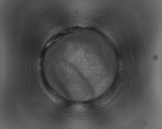 X0000089910738200707131349