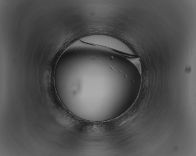 X0000089910739200707131349