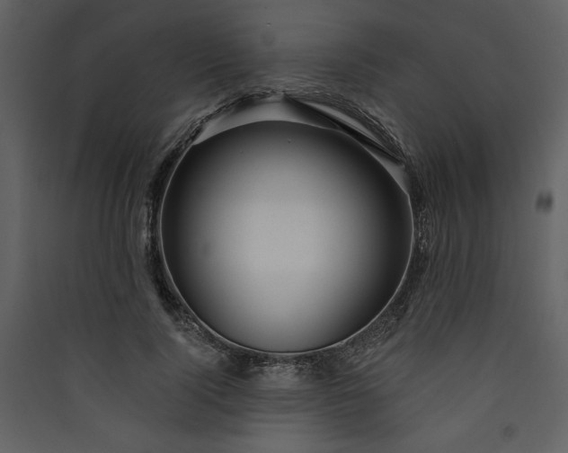 X0000089910740200707131349