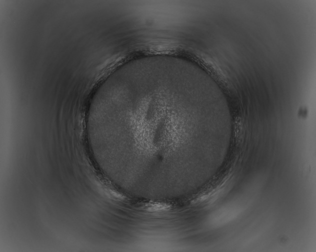 X0000089910741200707131349