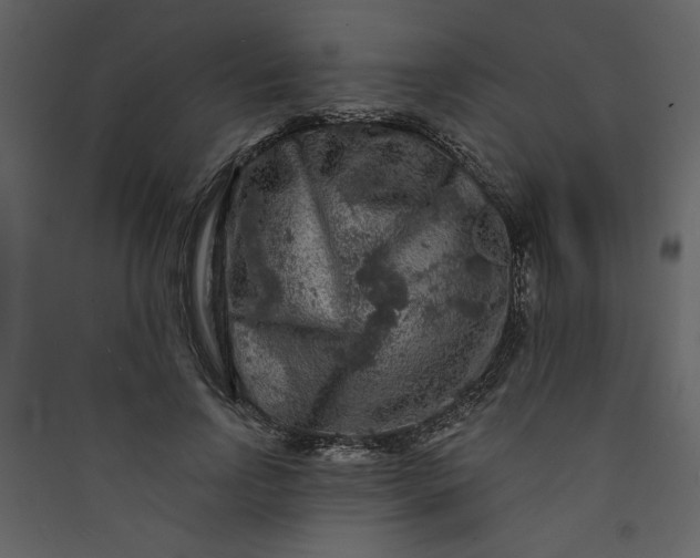 X0000089910742200707131349