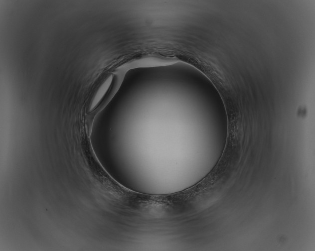 X0000089910743200707131349