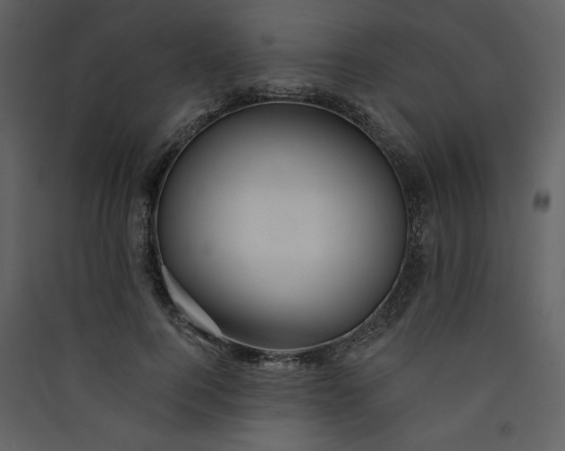 X0000089910744200707131349