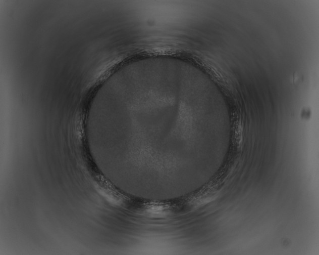 X0000089910746200707131349