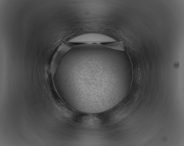 X0000089910747200707131349