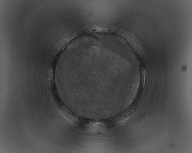 X0000089910748200707131349