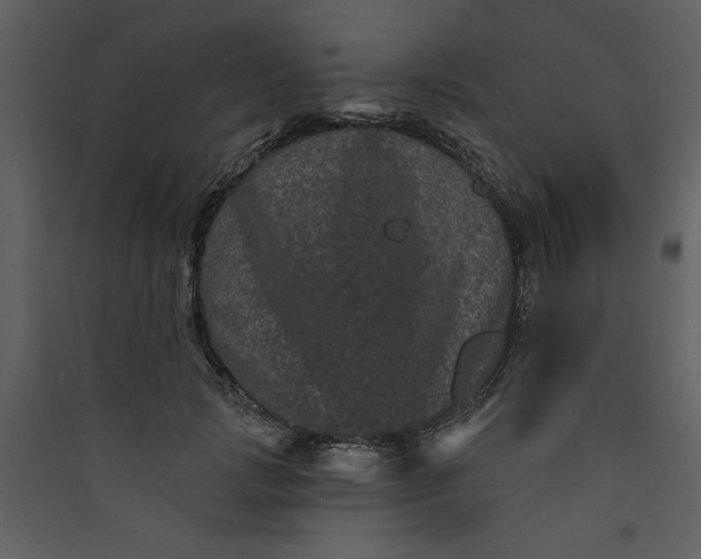X0000089910749200707131349
