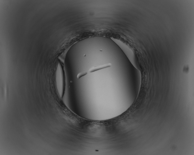X0000089910750200707131349