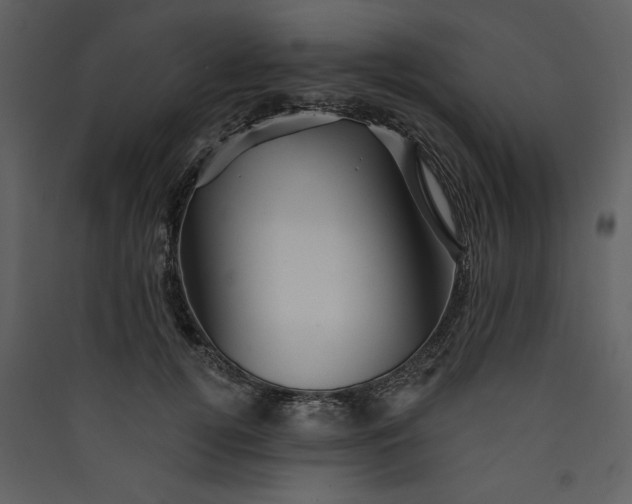 X0000089910752200707131349