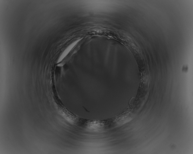X0000089910754200707131349
