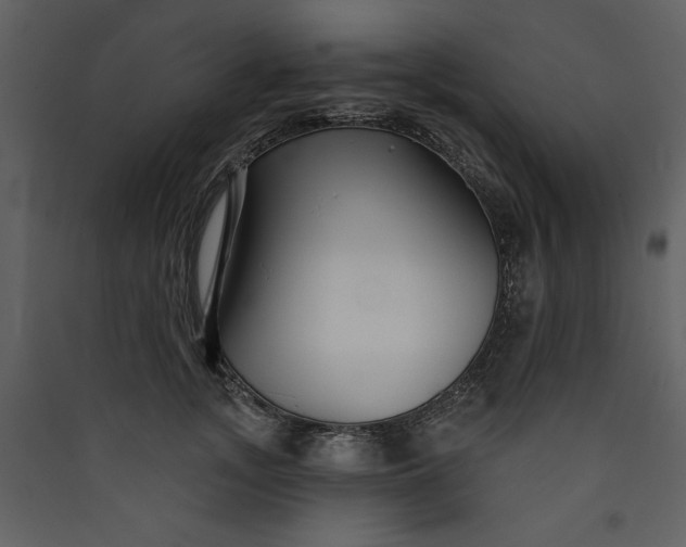 X0000089910755200707131349