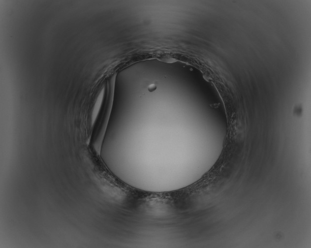 X0000089910756200707131349
