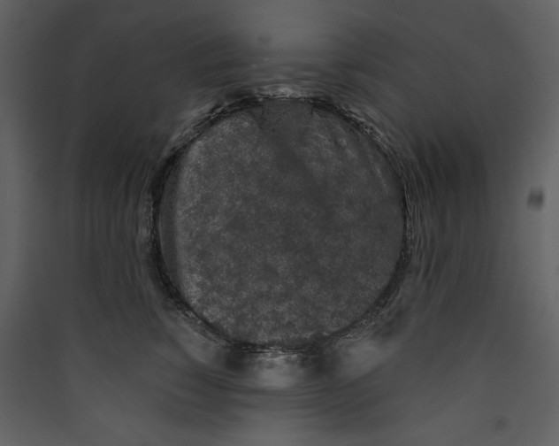 X0000089910760200707131349
