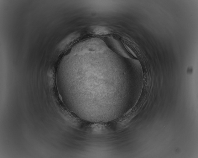 X0000089910762200707131349