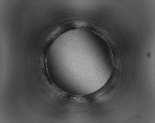 X0000089910763200707131349