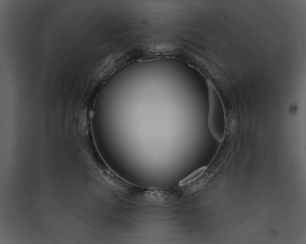 X0000089910764200707131349