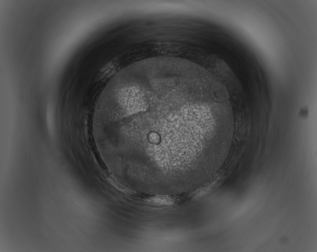 X0000089910765200707131349