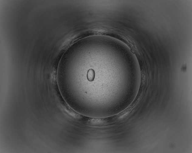 X0000089910766200707131349
