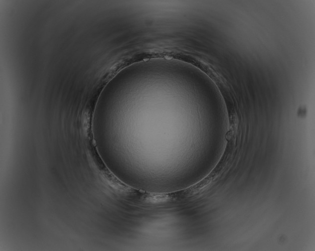 X0000089910767200707131349