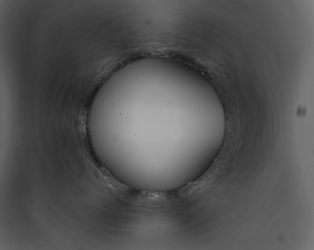 X0000089910768200707131349
