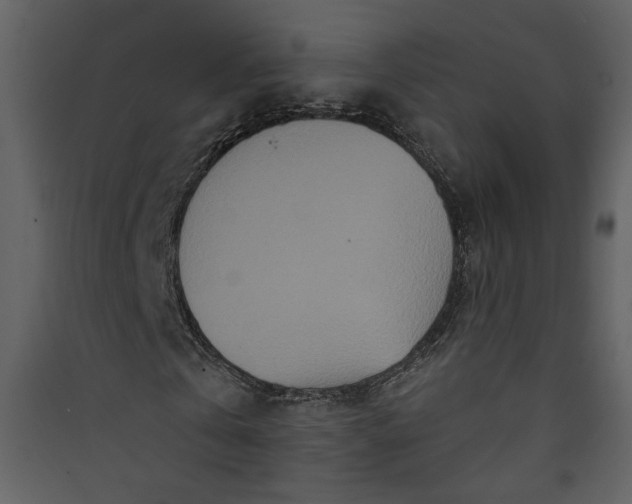 X0000089910769200707131348