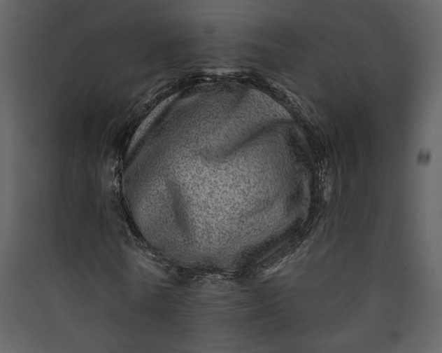 X0000089910770200707131348