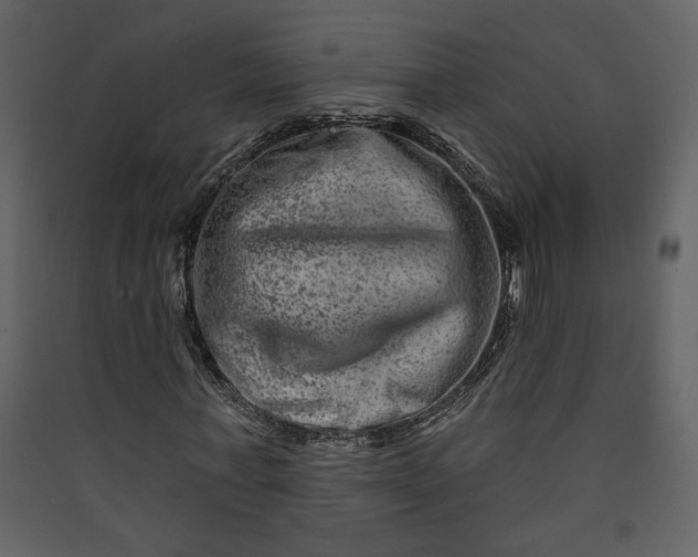 X0000089910771200707131348